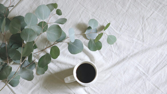 Relax with a cup of tea or coffee and some fresh plants.