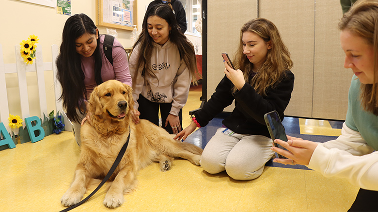 Students visiting a dog before finals.